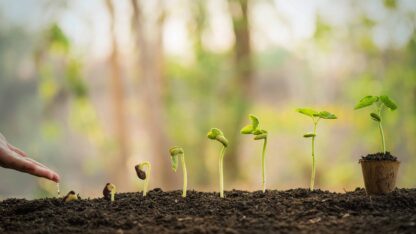 Plant growth at different stages representing the growth potential and tax incentives from Qualified Opportunity Zones
