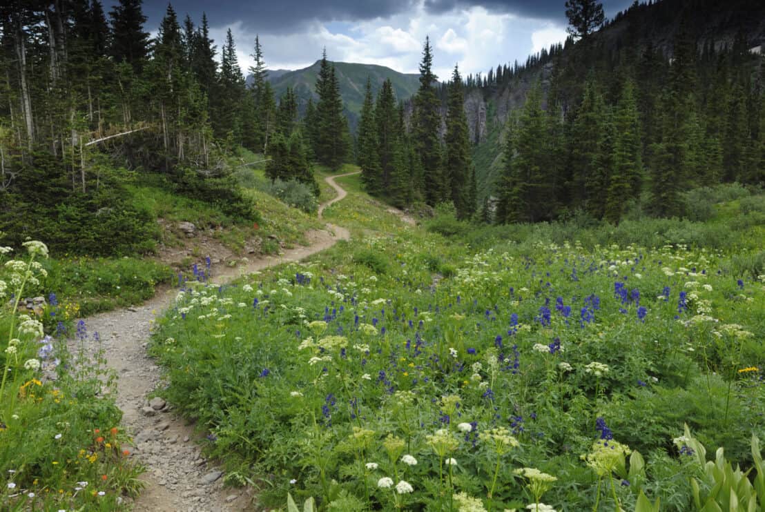 hiking-trail-in-rocky-mountains-colorado