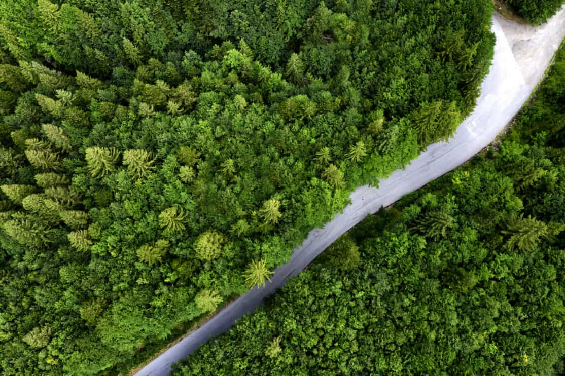 aerial-view-of-road-with-fork-in-the-forest