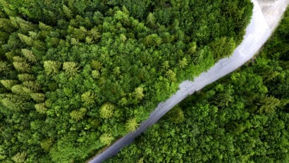 aerial-view-of-road-with-fork-in-the-forest