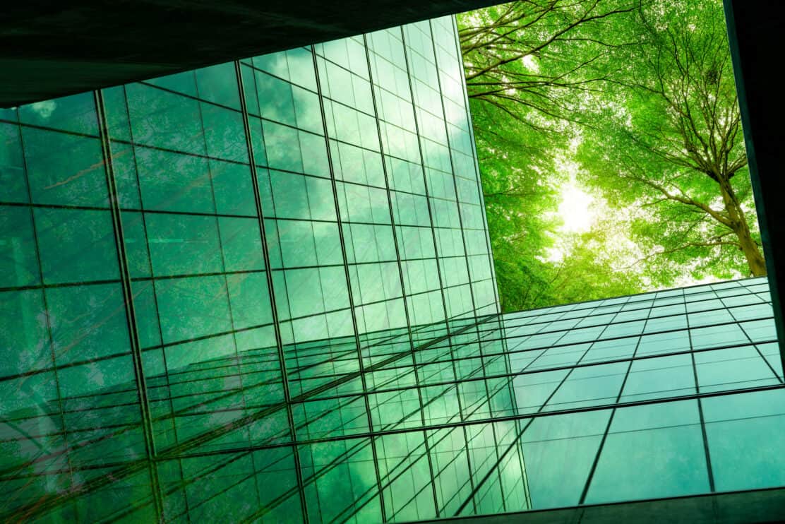 eco-friendly-building-in-the-modern-city-green-tree-branches-with-leaves-and-sustainable-glass-building-for-reducing-heat-and-carbon-dioxide-office-building-with-green-environment-go-green-concept