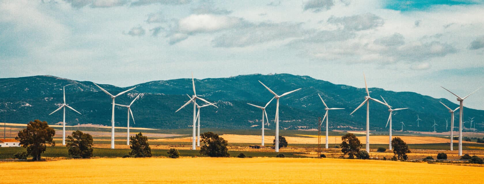 Wind turbines in a golden field below mountain foothills.