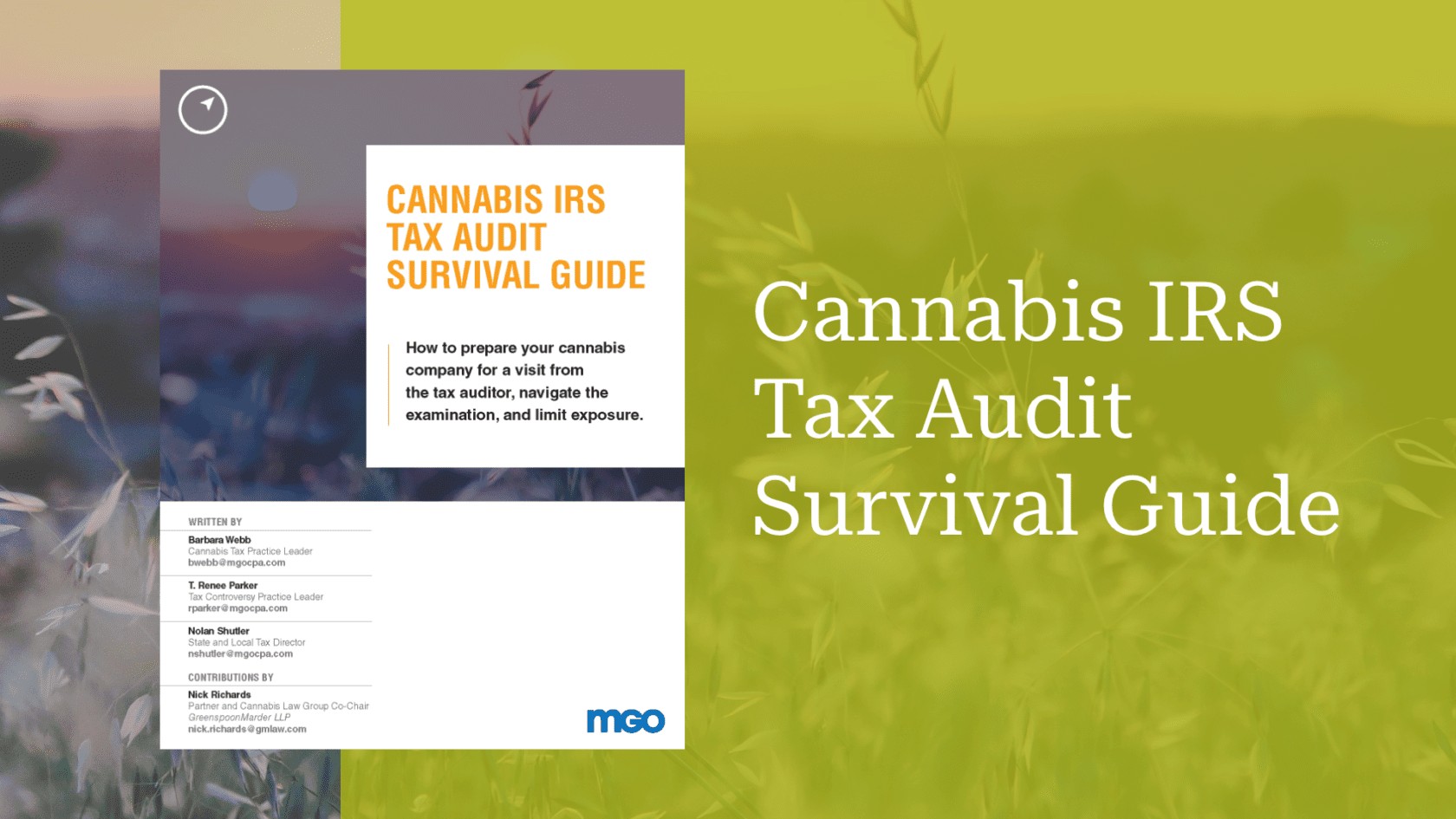 cannabis-tax-audit_v01-1680x945