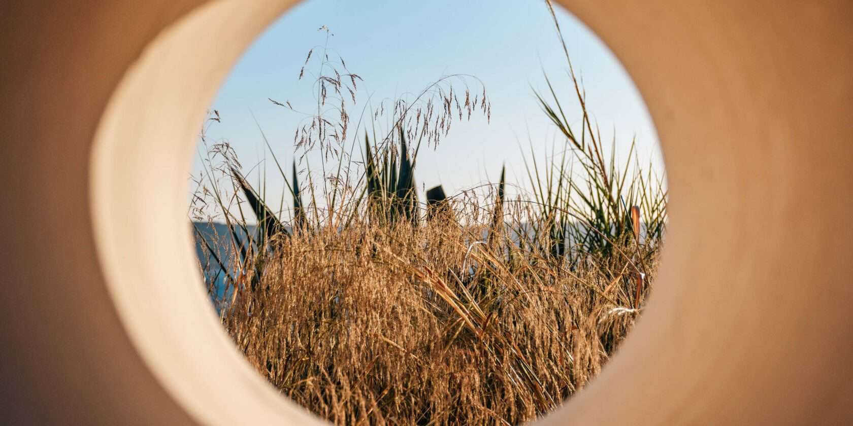 A circular window showing a view of wild grass.