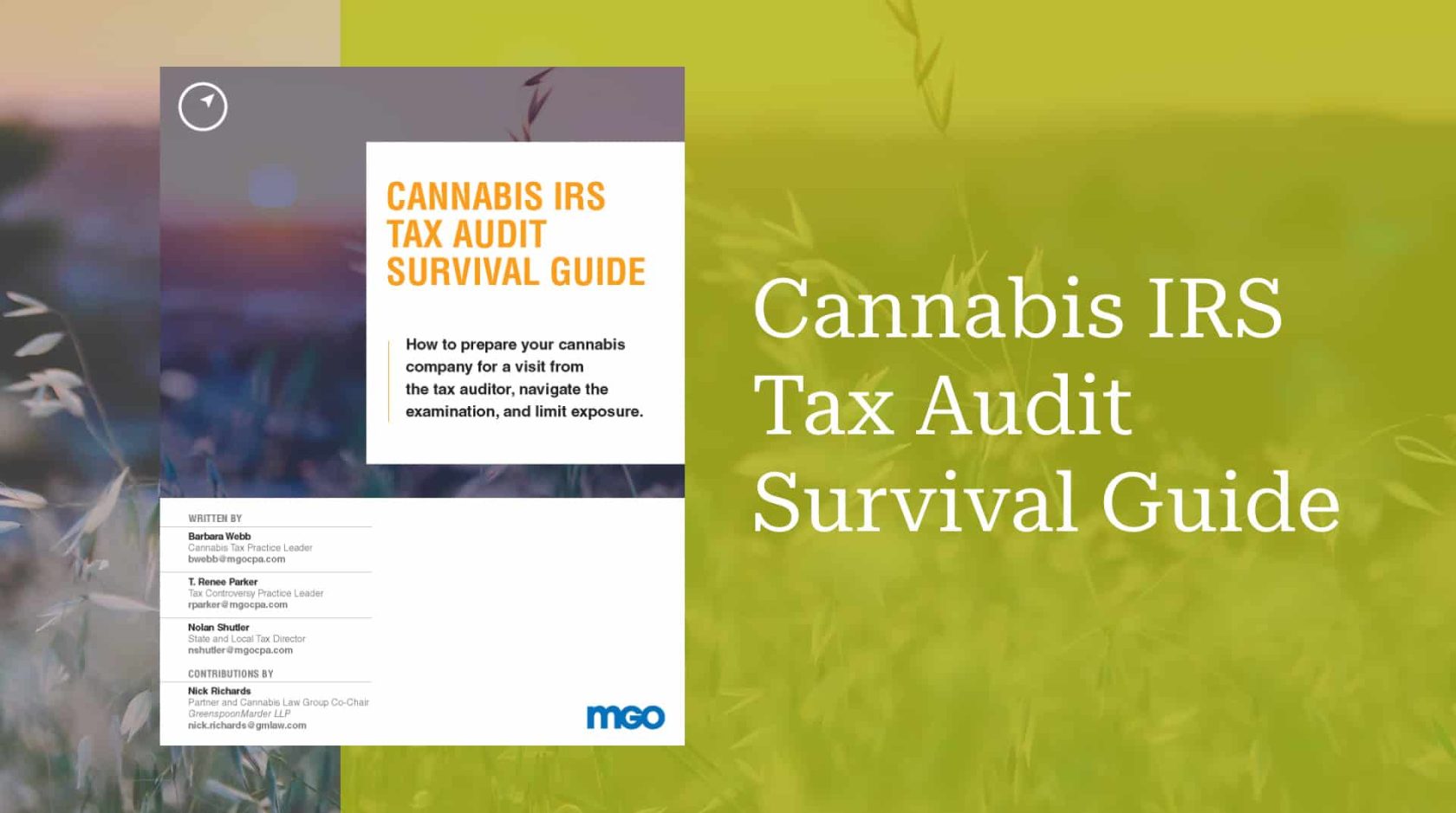 Cannabis IRS Tax Audit Survival Guide.
