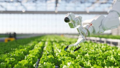 hydroponic-robot-farming