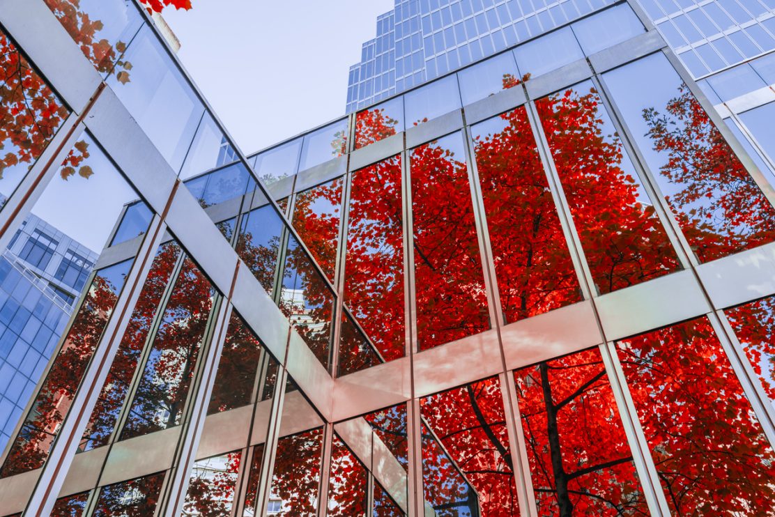 autumn-leaves-reflecting-on-office-building