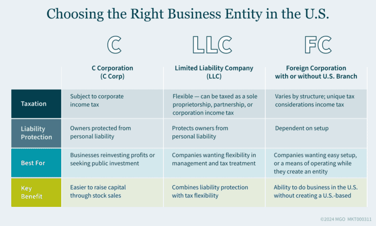 Choosing the Right Business Structure for Your U.S. Expansion - MGO CPA