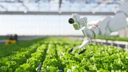 Image of a robotic greenhouse