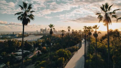 Winding roadway through palm trees against sunset.