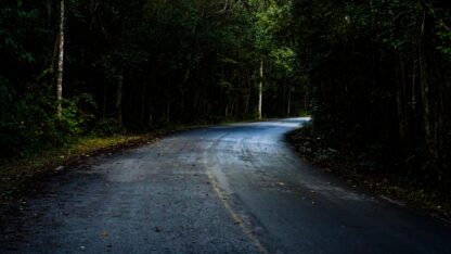 Country roads with natural roadside trees representing the risks that state and local governments face
