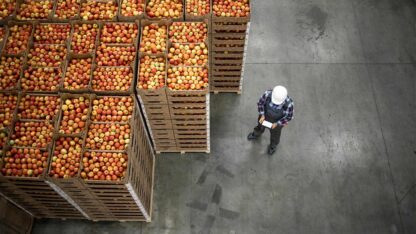 Crates filled with apples stacked in rows, much like how state and local tax strategies require careful categorization and planning.