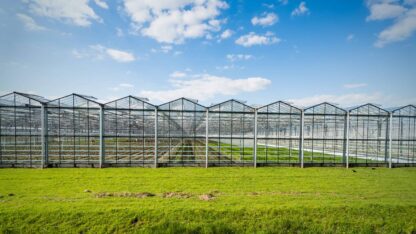 Modern and transparent greenhouse on the outside