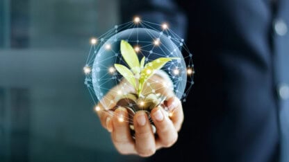 person holding a ai ball with a plant