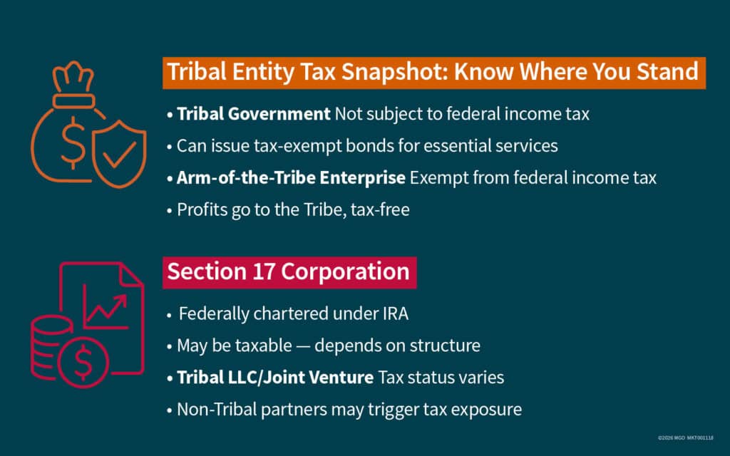 Graphic showing a snapshot of tax info Tribal entities need to know, including arm-of-the-tribe enterprises and Section 17 corporations