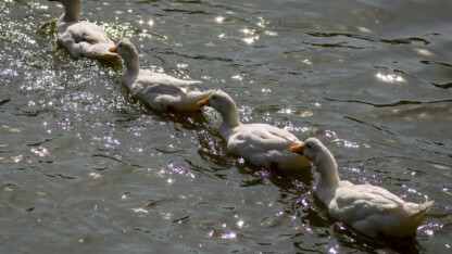 Get your ducks in a row before 10-Q filing