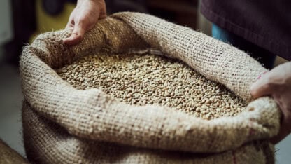Worker holding bag of coffee beans